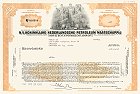 Royal Dutch Petroleum - Shell Oil