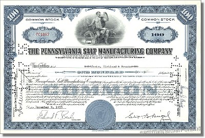 Pennsylvania Salt Manufacturing Company