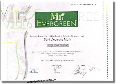 Mr. Evergreen