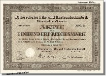 Dittersdorfer Filz- und Kratzentuchfabrik AG
