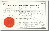 Martha's Vineyard Company