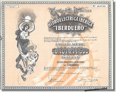 Hidroelectrica Iberica IBERDUERO S.A.