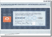 KWS Kleinwanzlebener Saatzucht AG, vorm. Rabbethge & Giesecke