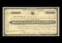 Brunswick Gold Mining Company