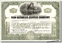 New Cornelia Copper Company